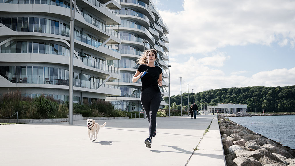 Tag Hunden Med På Ferie I Aarhusregionen | VisitAarhus