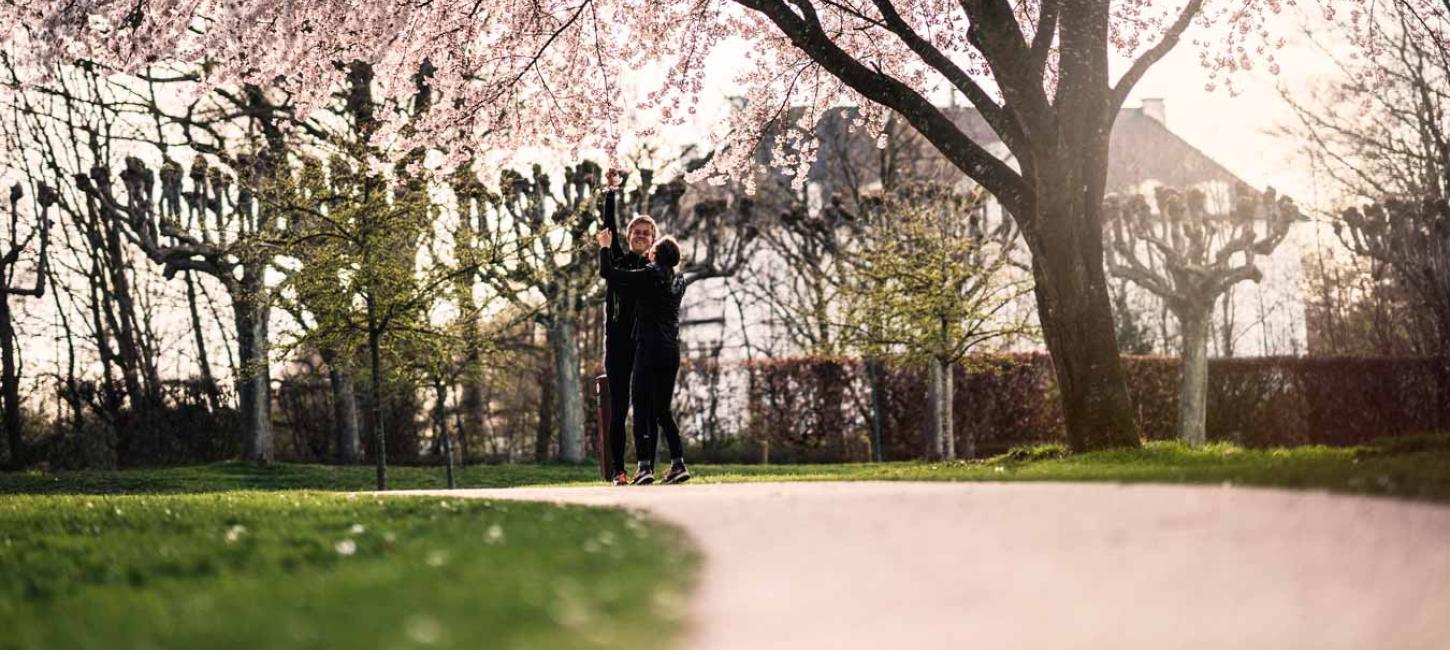 Forår i Mindeparken, Aarhus