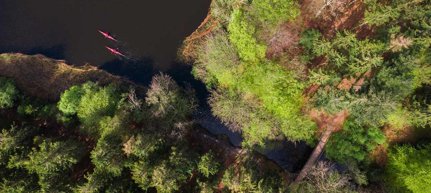 Dronefoto af to personer i kajakker på en sø med skov rundt om