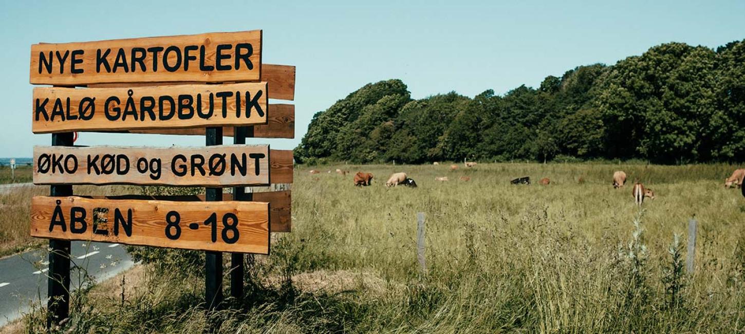 Kalø Gårdbutik på Djursland - økologisk kød og grønt