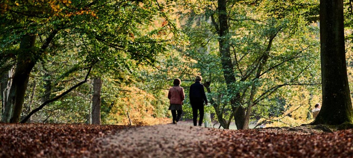 Par går efterårstur i skoven i Aarhus