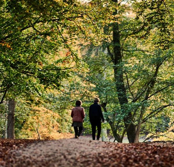 Par går efterårstur i skoven i Aarhus