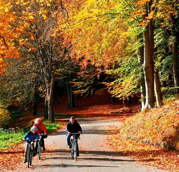 Famiilie på cykeltur i Silkeborgskovene en efterårsdag